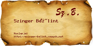 Szinger Bálint névjegykártya